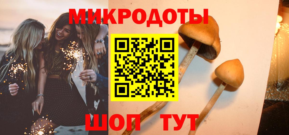 Менделеевск  Псилоцибиновые грибы Psilocybine cubensis  Вход с VPN 